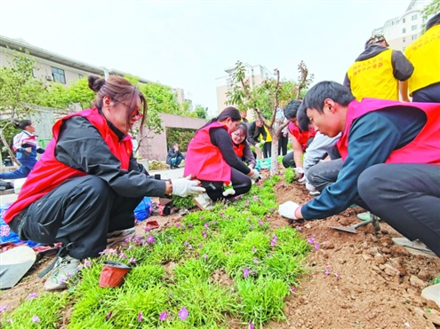 天桥区首个共建花园“泉馨·共筑园”